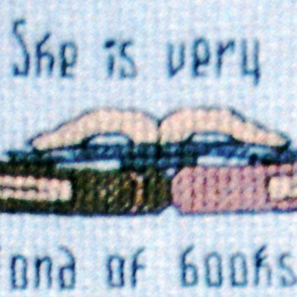 "Addled Her Brain" Cross Stitch Pattern - SIX-293 picture