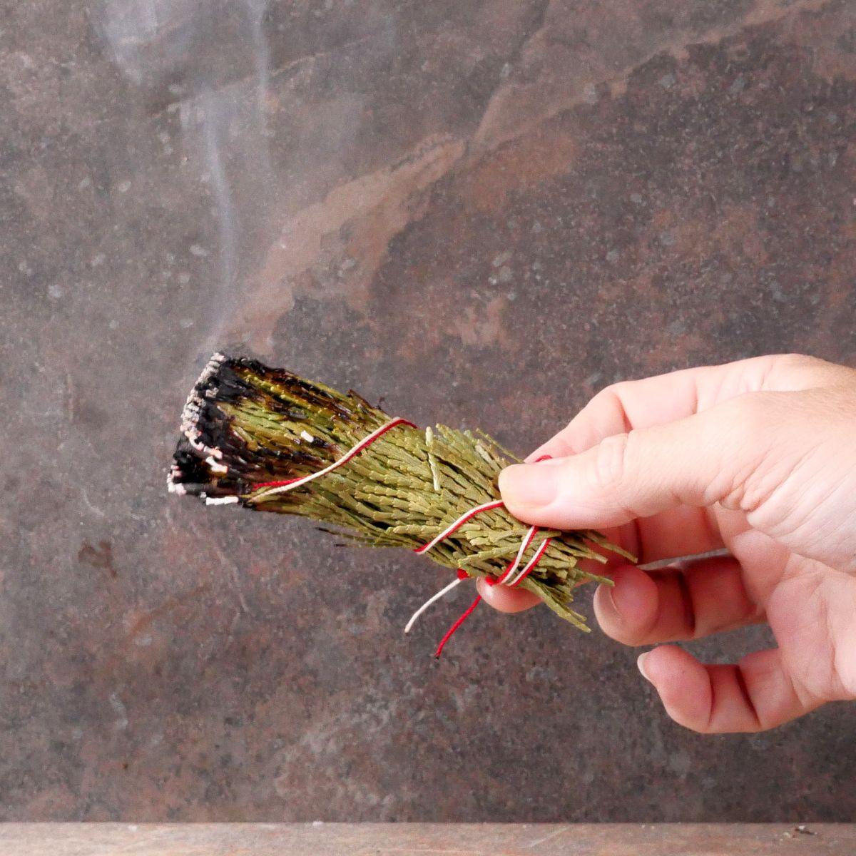 Cedar Smudge Bundle - HRB-110 picture