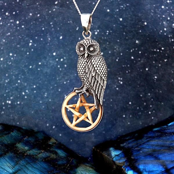 Silver Owl with Bone Pentacle Pendant - PSS-G110 picture
