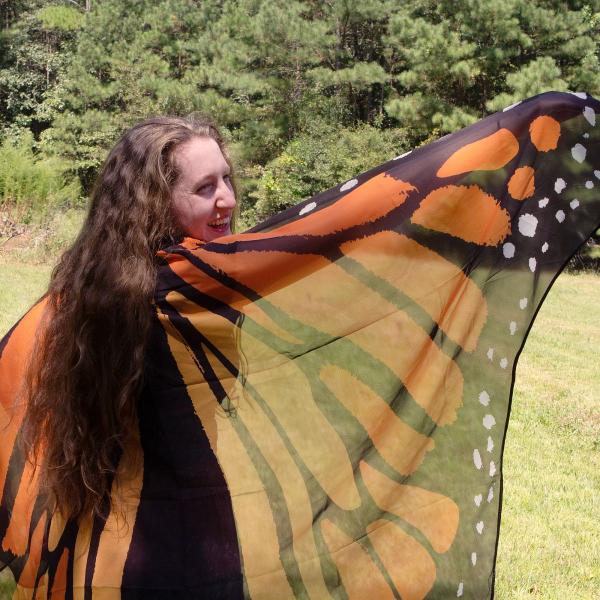 Monarch Butterfly Fairy Wings - WNG-MON picture
