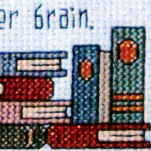 "Addled Her Brain" Cross Stitch Pattern - SIX-293 picture