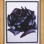 Dark Rose Cross Stitch Pattern - SIW-683