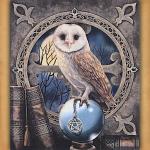 The Spell Keeper Cross Stitch Pattern - SHP-035