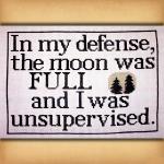 The Moon Was Full Cross Stitch Pattern - SIS-321
