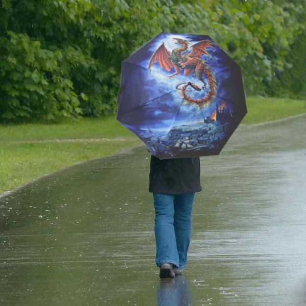 Red Dragon Umbrella - UMB-004 picture