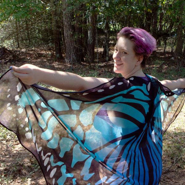 Summer Blue Butterfly Fairy Wings - WNG-BLU picture
