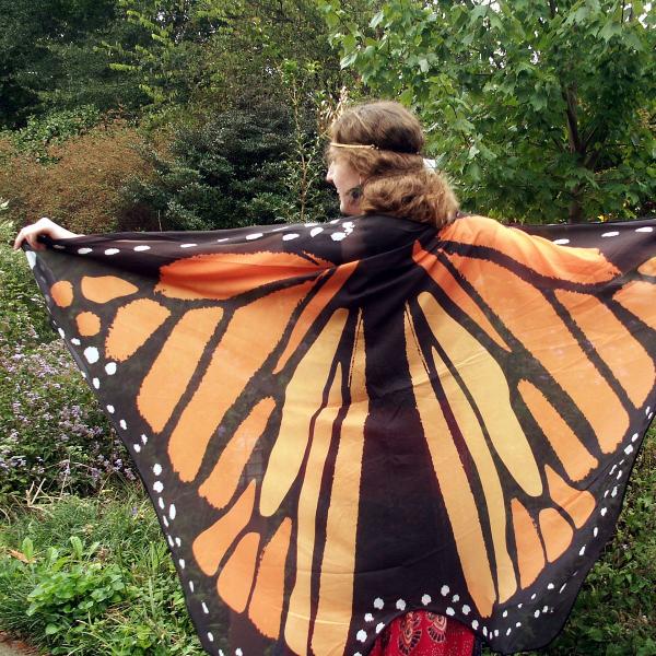 Monarch Butterfly Fairy Wings - WNG-MON picture