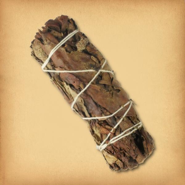 Yerba Santa Herb Bundle - HRB-105