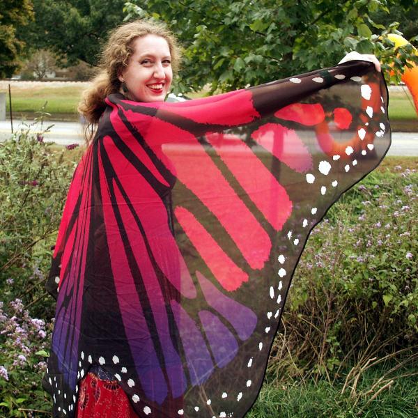 Ruby Red Butterfly Fairy Wings - WNG-RED picture