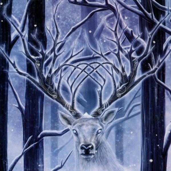 Frozen Fantasy Yule Card - CRD-CB01 picture