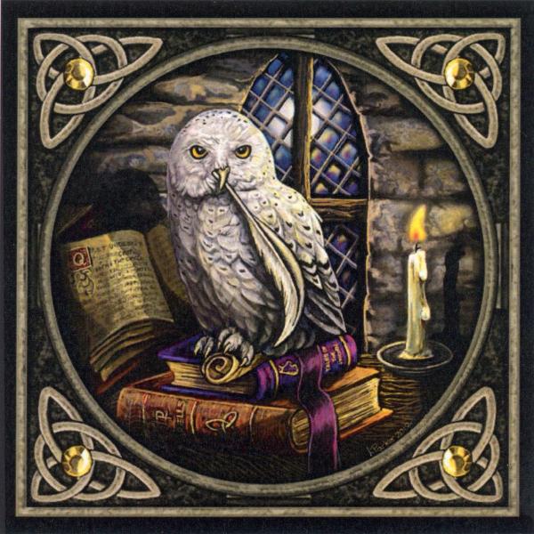 "Literary Owl" Cross Stitch Pattern - SHP-050 picture