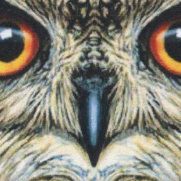 "Wise One" Owl Cross Stitch Pattern - SHP-136 picture