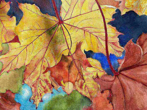 Autumn Leaves picture