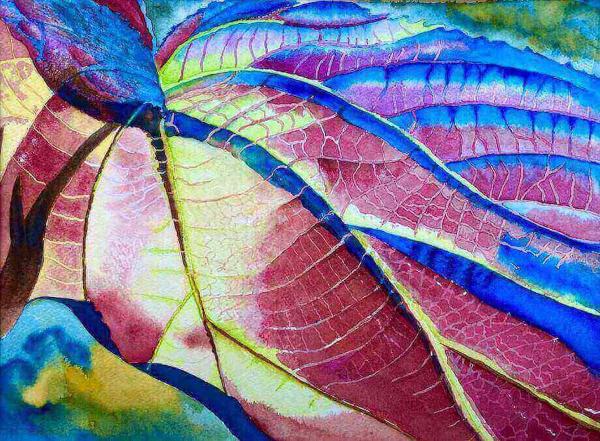 Leaf and Color picture