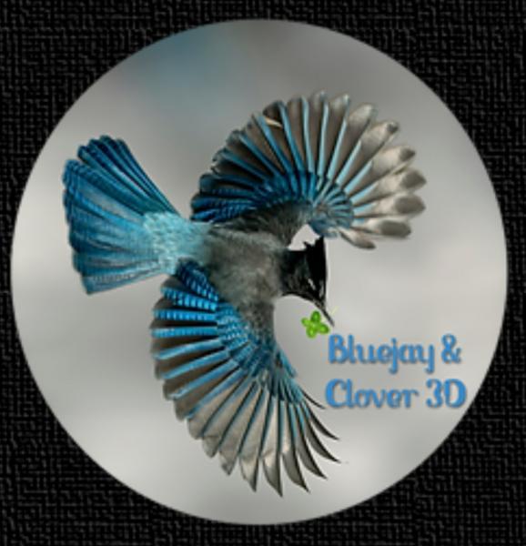 Bluejay and Clover 3D