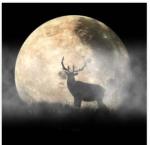 Elk Moon Creations