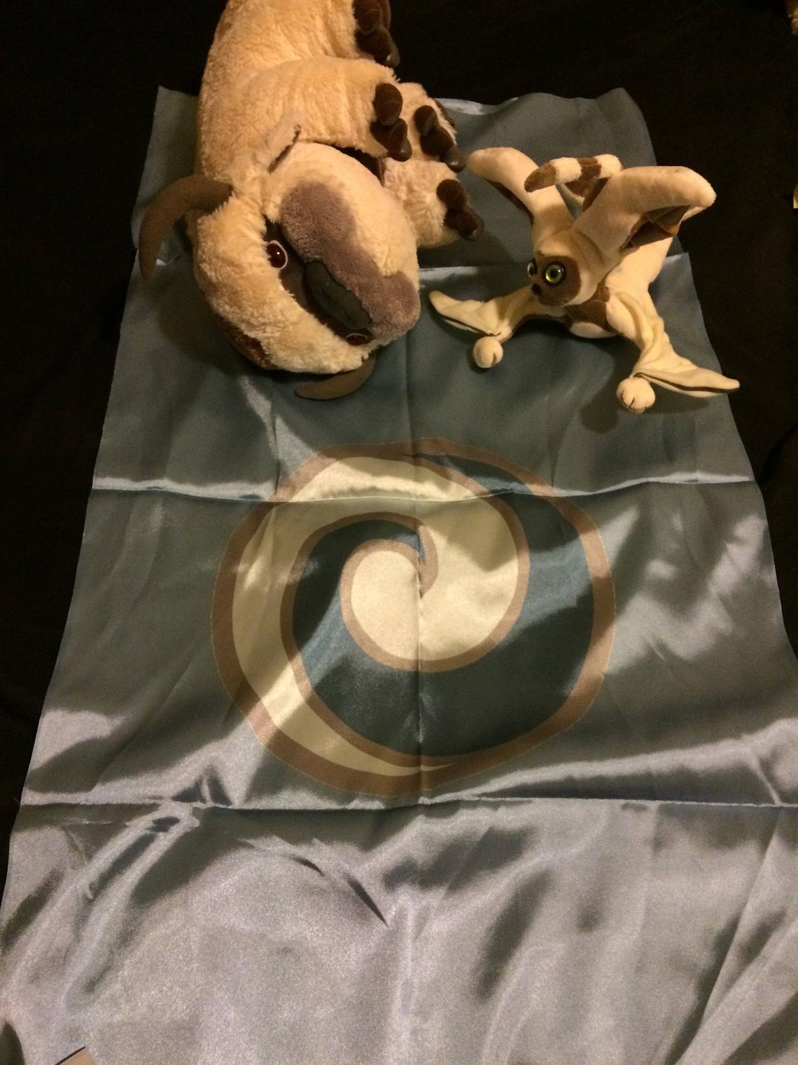 Banner of the Air Nomads picture