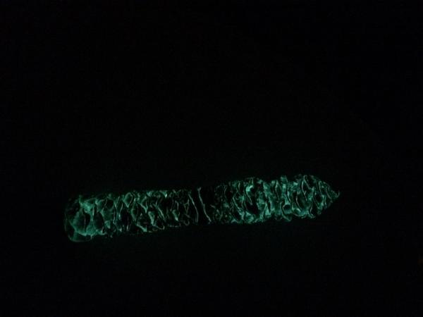 Glowing Dragon Scale Wand picture