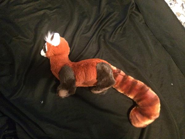 Pabu Plush picture