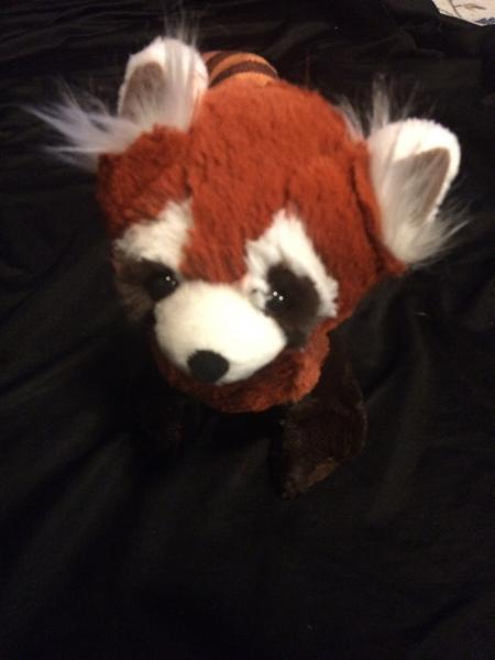 Pabu Plush picture