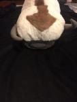 35" Appa Plush