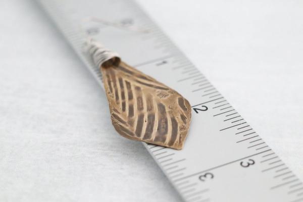 Leaves of Bronze Earrings picture