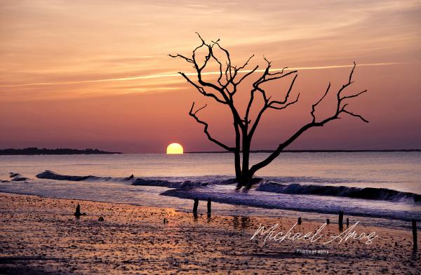 Botany Bay picture