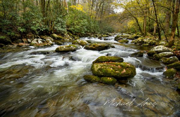 Tremont Stream picture