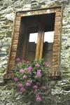 Florence Window Box