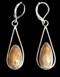 Petrified Palmwood Earrings #1