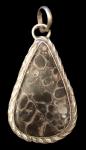 Turritella Agate Pendant #2