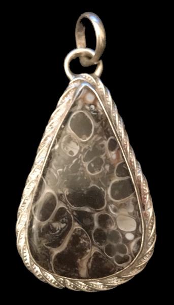 Turritella Agate Pendant #2 picture