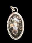 Turritella Agate Pendant #1