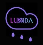 Luzida.Art