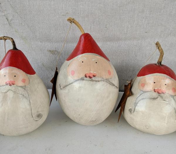 Small Santa gourd picture