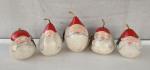 Small Santa gourd