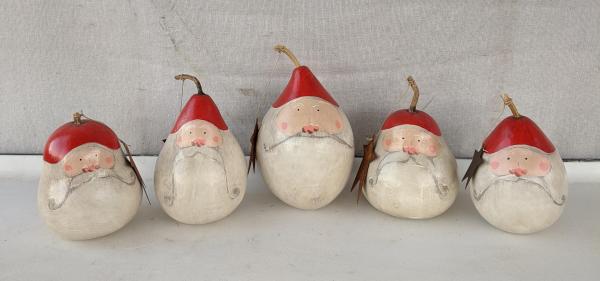 Small Santa gourd picture