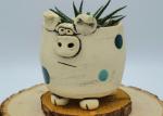 Handmade Pottery Pig Planter