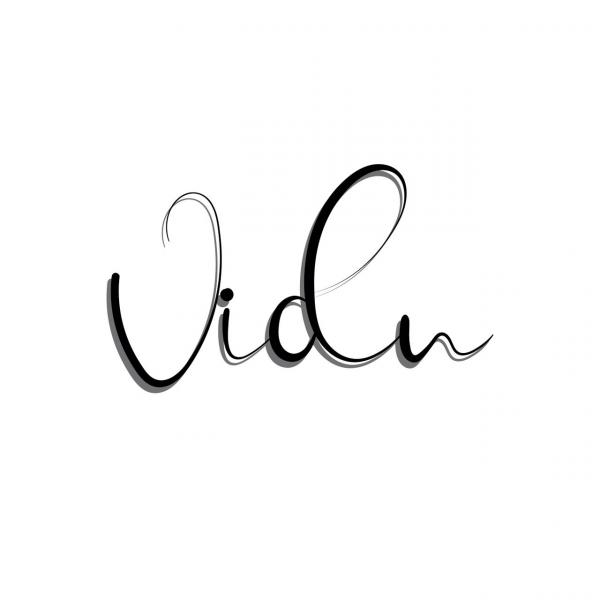 Vidu