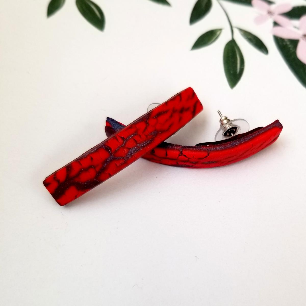 Polymer Clay Earrings picture