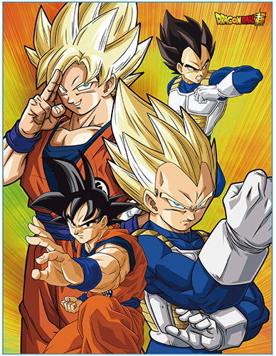 DRAGON BALL  BATTLE OF GODS GROUP THROW BLANKET