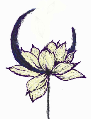 Denita User Profile