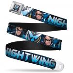 NightWing Seat Belt Belt