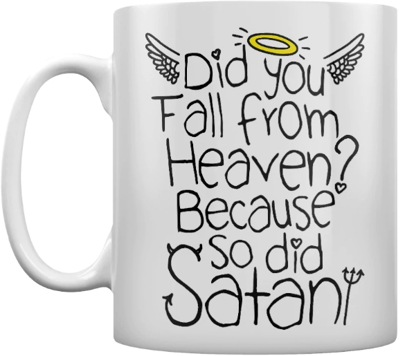Did You Fall from Heaven? Because So Did Satan Mug