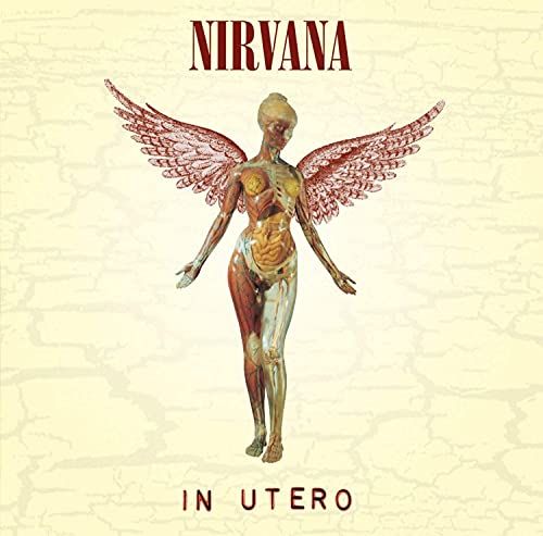 Nirvana-In Utero picture