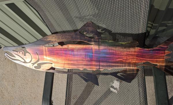 Colorful Salmon 36X13