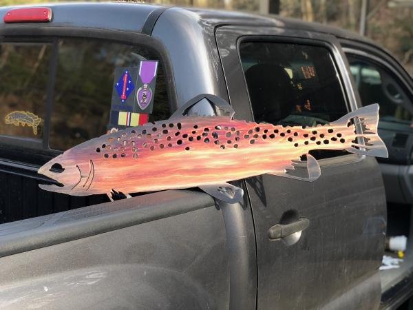 Colorful Salmon 36X13 picture