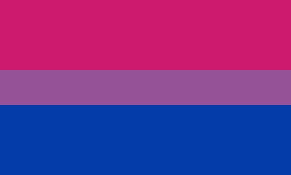 LGBTQ Bisexual Pride Flag 3'x5' with Grommets picture