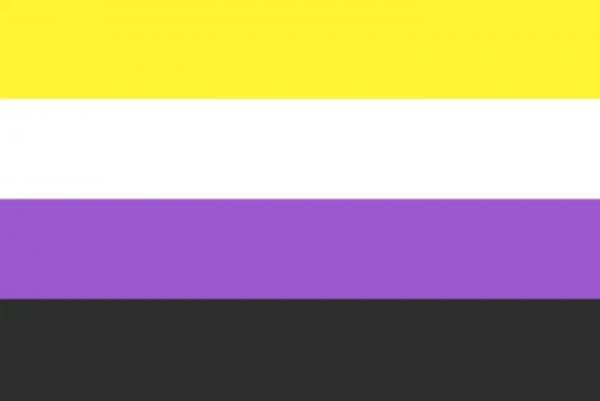 LGBTQ Non Binary Pride Flag 3'x5' with Grommets