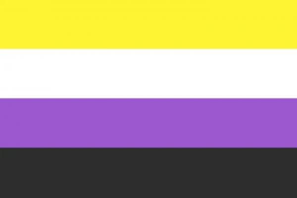 LGBTQ Non Binary Pride Flag 3'x5' with Grommets